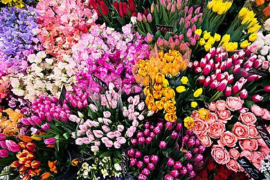 解谜叙事游戏《Recursive Ruin》上线Steam 5月18日发售